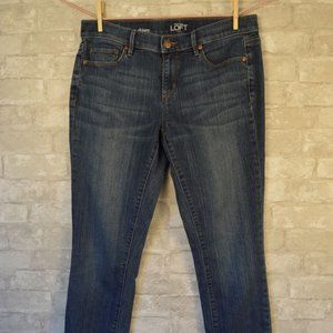 Ann Taylor Loft modern skinny jeans, medium blue, women's 6